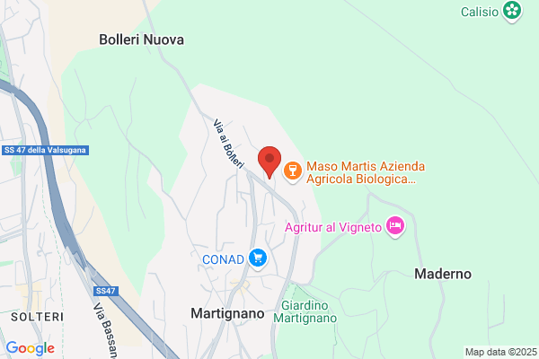 Ambulatorio Veterinario Martignano