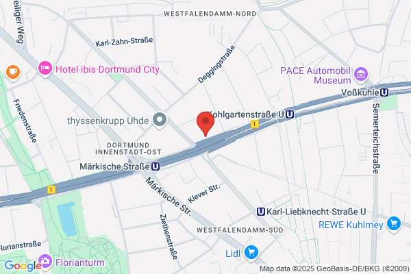 Devid & Lorenz Hair Clinic
