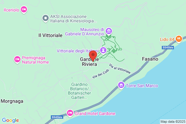 Bussi liviano