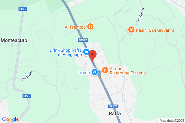 Fidelitas Fiduciaria Di Sicurezza S.P.A.