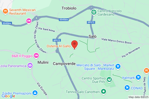 Gallo Laura (Dr.)