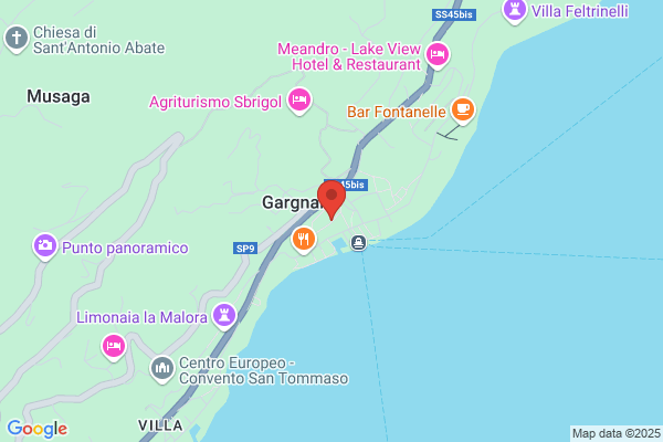 Migazzi alfonsina