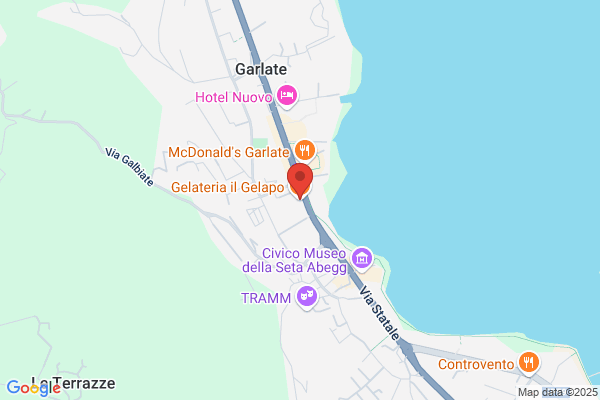Gelateria Il Gelapo