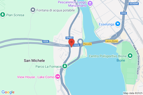 Mossini (S.P.A.)