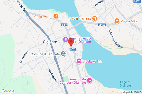 Olginatese Viaggi