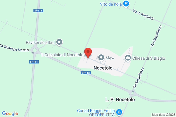 Il Calzolaio di Nocetolo