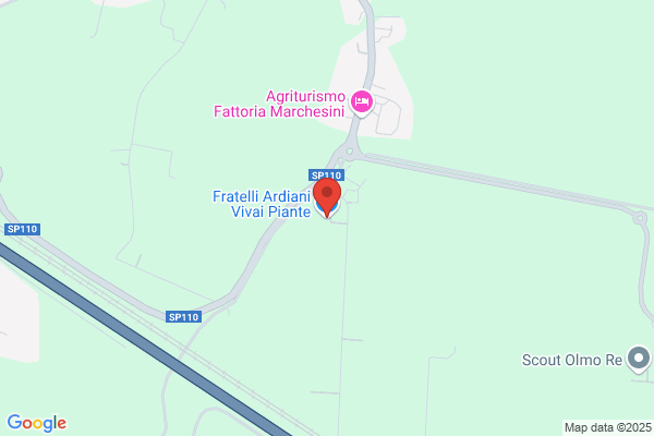 Fratelli Ardiani Vivai Piante