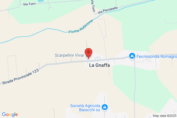 Scarpellini Vivai