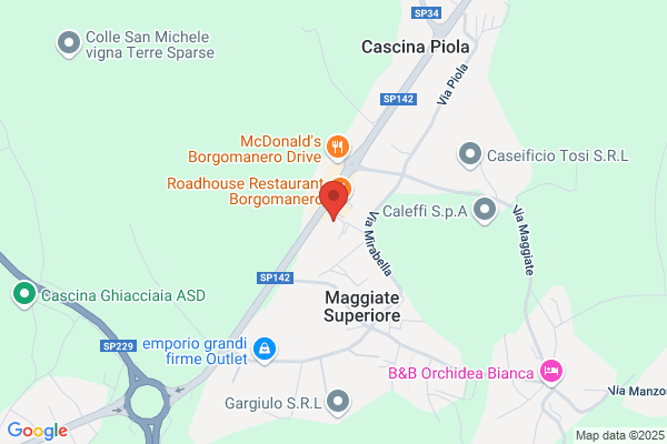 Istituto Di Vigilanza Vedetta (S.R.L.)