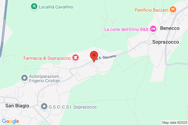 Poli flavia