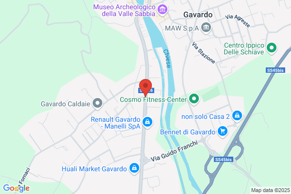 Quarena antonio (Geom.)