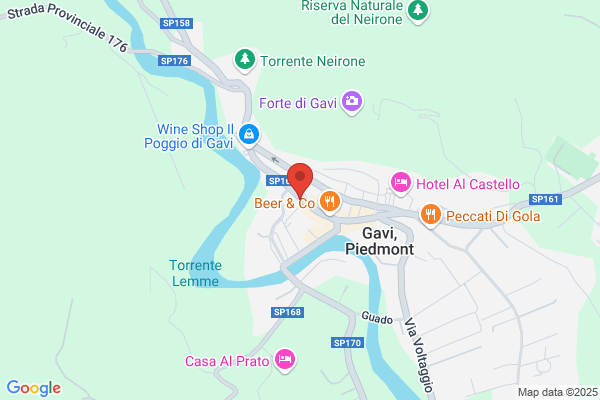 Figini Massimo