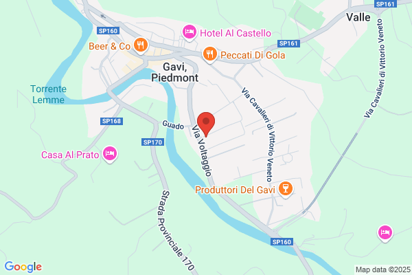 Gavi Bristol S.R.L.