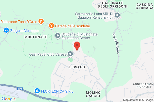 La Immobiliare Sacconaghi Di E. Sacconaghi & c. (S.A.S.)