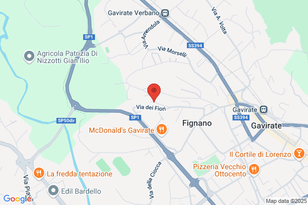 Maragni luca