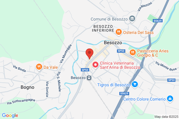 Reale Mutua Agenzia di Besozzo Pedroni Fausto E Tonta Luca Snc