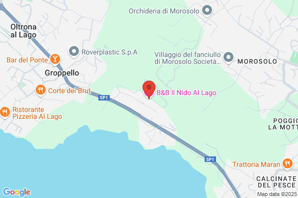 Paganini leonida