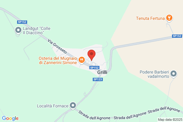 Tognoni giorgio