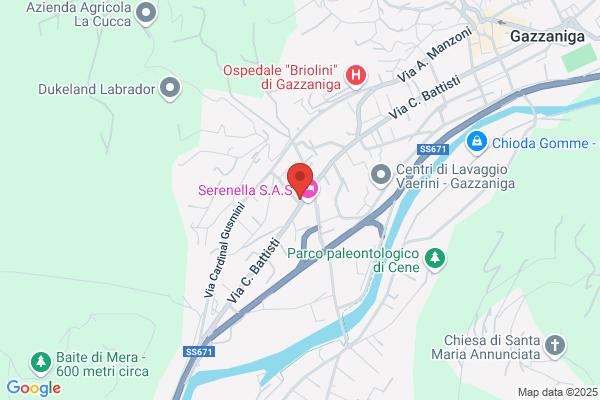 Ser. Val Seriana Viaggi S.R.L.