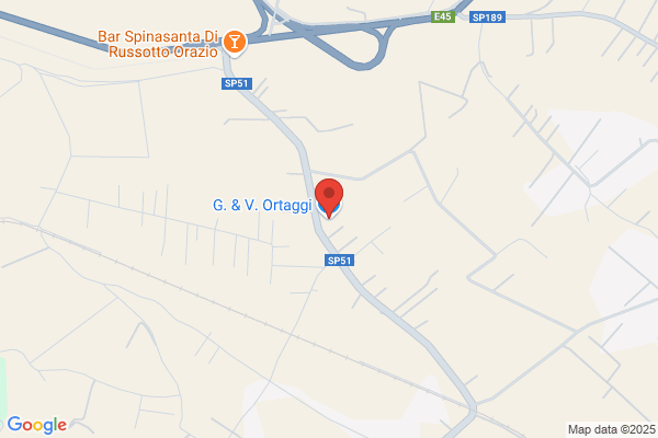 Gela Fruit Srl