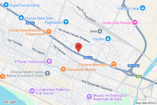 Istituto Di Vigilanza Madonna Delle Grazie