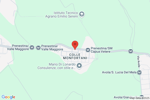 Palestra The Executive Di Benedetti Fabiana