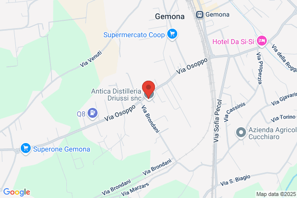 Giora Giannino