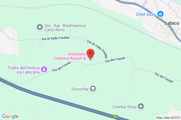 Antonello Colonna srl