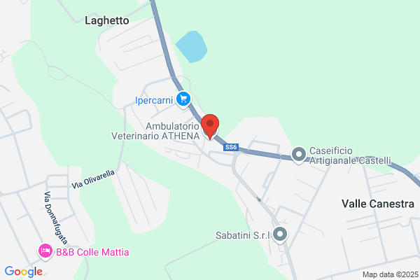 Sat International Movers Traslochi Roma