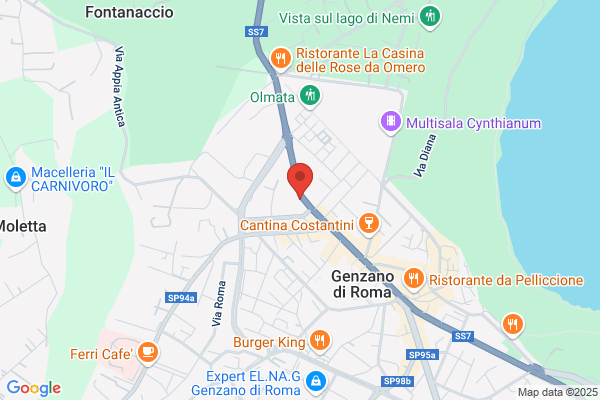 Centro Studi Galileo Galilei Recupero Anni Scolastici Castelli Romani