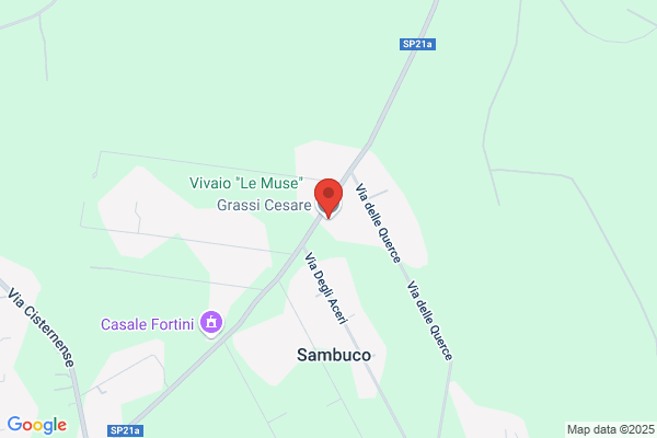 Grassi Alessandro