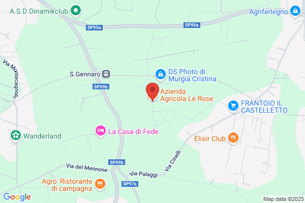 Rocchi ledo Morgaro