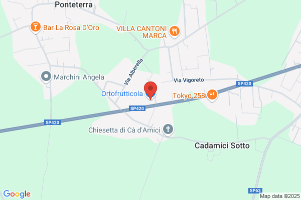 La Folgore Ortofrutticola Srl