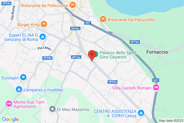 Forno Il Michelangelo Della Pizza