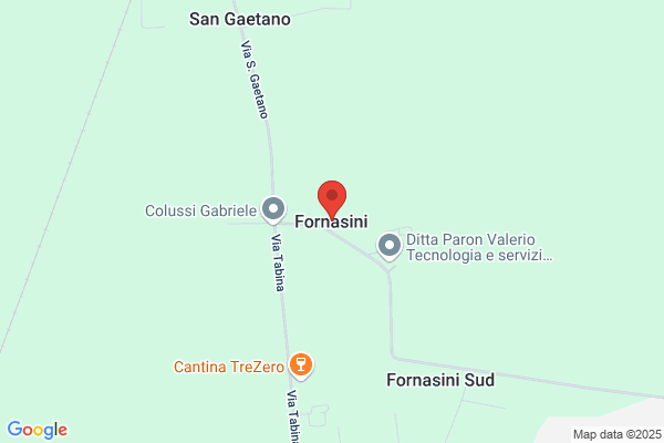 Fornasini (S.R.L.)