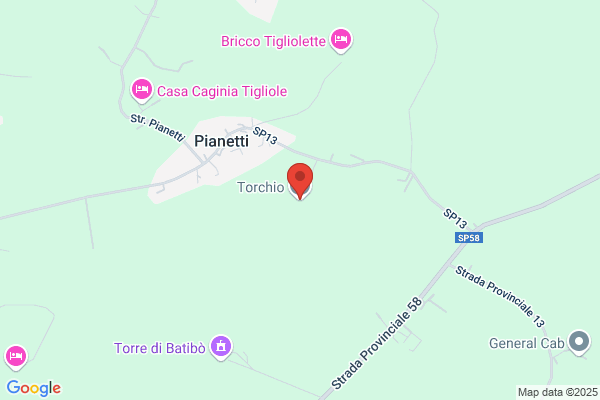 Torchio Srl