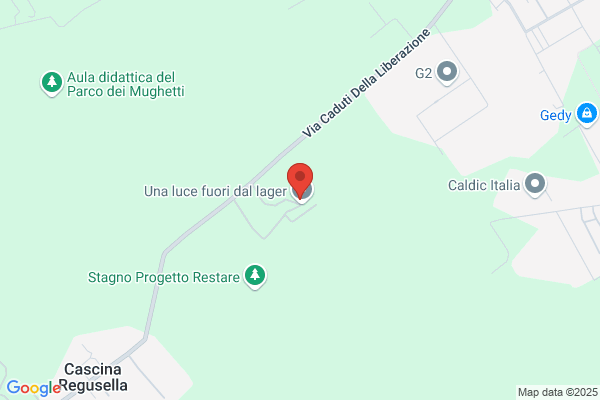 Spacedog Pensione per Cani