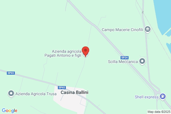 Pagati Antonio E Figli Paride E Luca s.S.