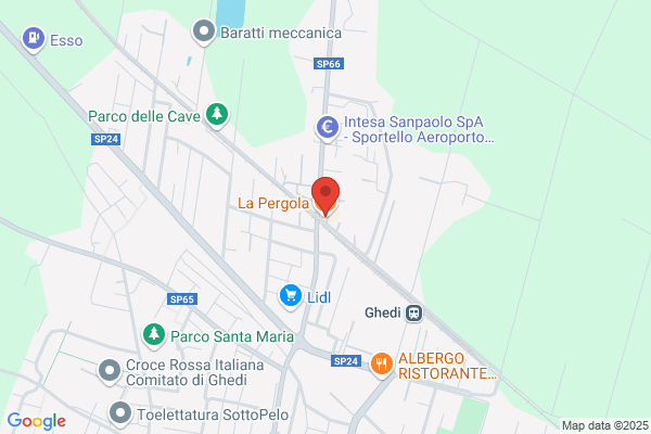 Pappagallo elpidio