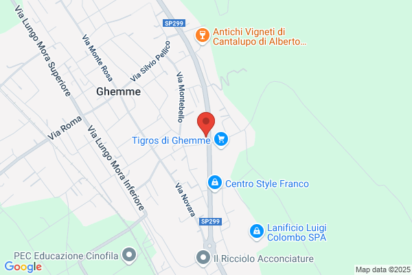 Il Girasole Di Baraggioni Massimiliano