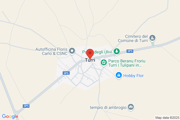 Claudio Turrin