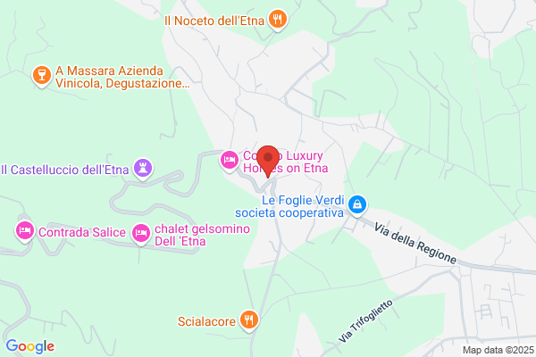 Tizzone Costruzioni Tetti e Tettoie in Legno
