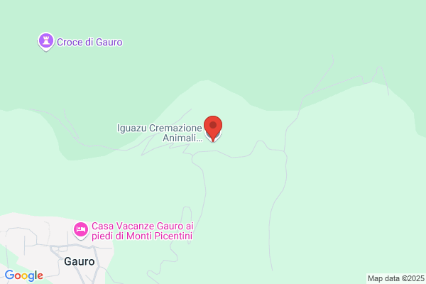 Iguazu Srl