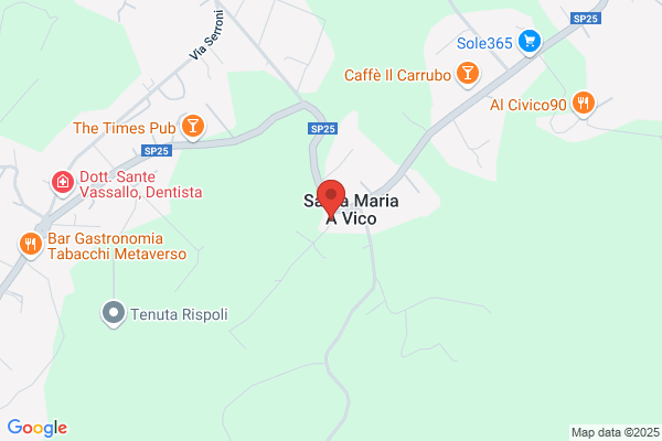 G.A.L.Zona Monti Picentini