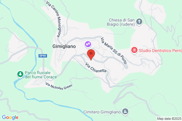 Paonessa motori