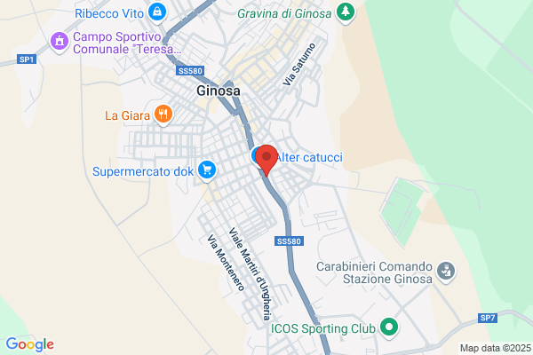 Exodus S.N.C.Di Palella F. E Co.