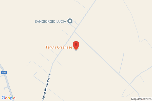 Tenuta Orsanese