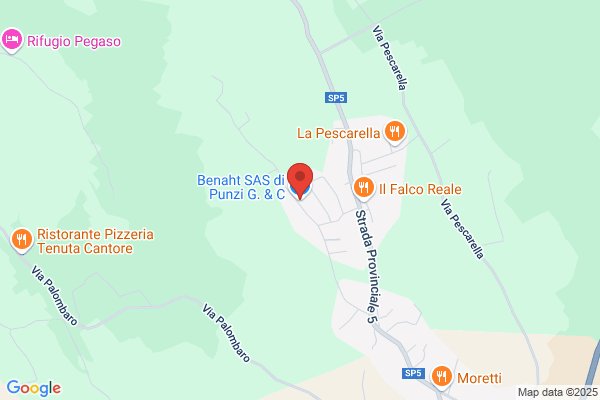 Benaht Snc Di Punzi G. C.