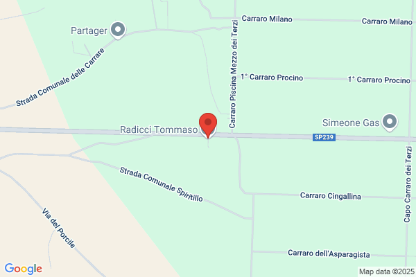 Radicci tommaso