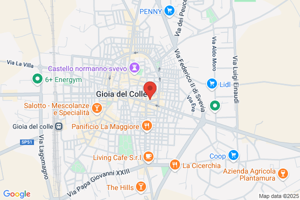 Il Mago Della Pizza